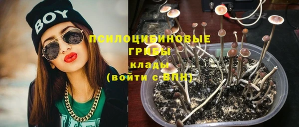 2c-b Березники