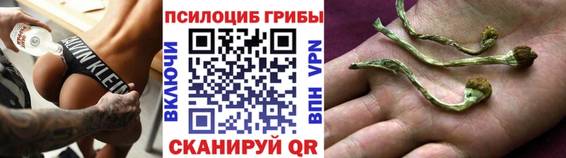 Псилоцибиновые грибы GOLDEN TEACHER  маркетплейс наркотические препараты  Карталы  продажа наркотиков  ОМГ ОМГ  